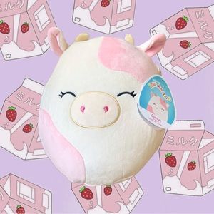 🍓12” Caedyn Squishmallow🍓